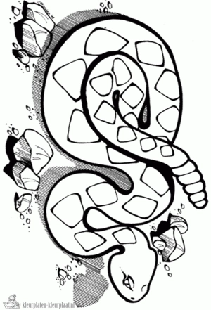 Slang 17 kleurplaat om te printen en kleuren