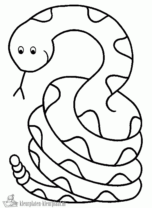Slang 19 kleurplaat