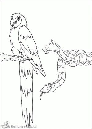 Slang 21 kleurplaat om te printen en kleuren