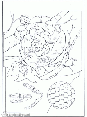 Slang 9 kleurplaat om te printen en kleuren