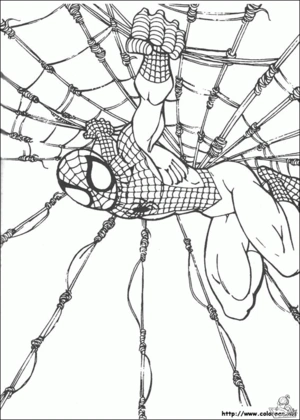 Spiderman 25 kleurplaat om te printen en kleuren