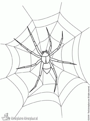 Spin 10 kleurplaat om te printen en kleuren