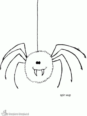 Spin 19 kleurplaat om te printen en kleuren