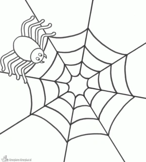 Spin 3 kleurplaat om te printen en kleuren