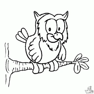 Uil 13 kleurplaat om te printen en kleuren