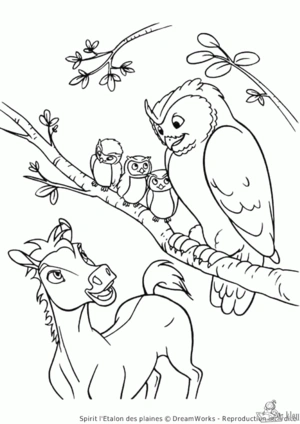 Uil 3 kleurplaat om te printen en kleuren