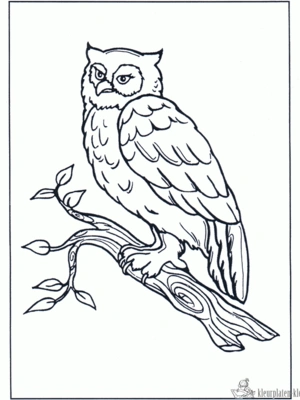 Uil 4 kleurplaat om te printen en kleuren