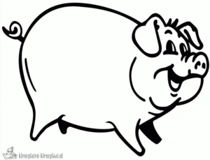 Varken kleurplaten om te printen en kleuren
