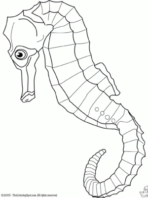 Vis 24 kleurplaat om te printen en kleuren