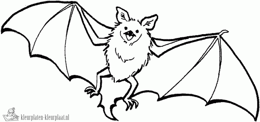 Vleermuis 14 kleurplaat