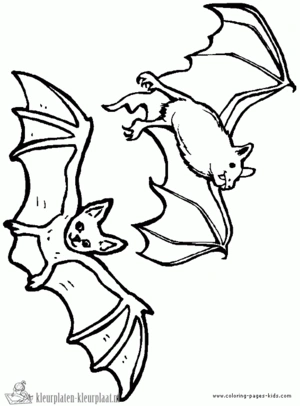 Vleermuis 3 kleurplaat om te printen en kleuren