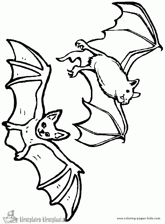 Vleermuis 3 kleurplaat