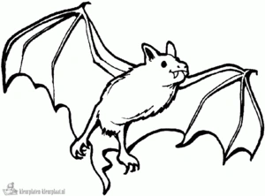 Vleermuis 8 kleurplaat om te printen en kleuren
