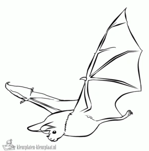 Vleermuis 9 kleurplaat om te printen en kleuren