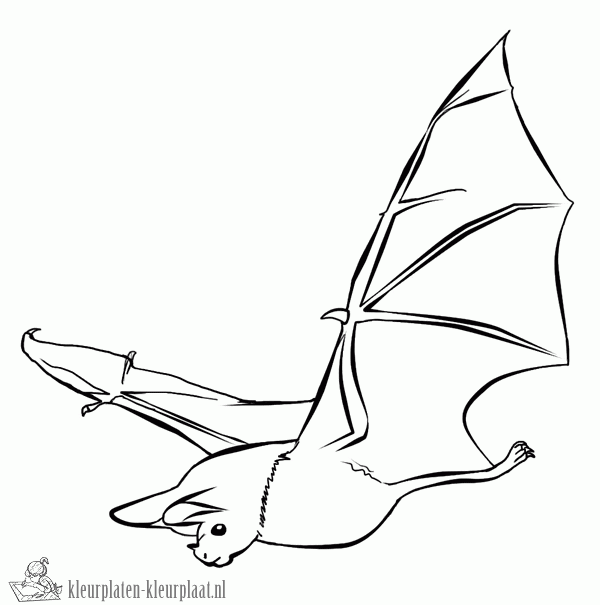 Vleermuis 9 kleurplaat