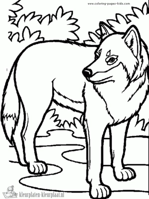 Wolf 5 kleurplaat om te printen en kleuren