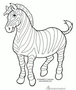 Zebra 11 kleurplaat om te printen en kleuren