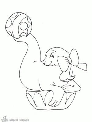 Zeehond 10 kleurplaat om te printen en kleuren