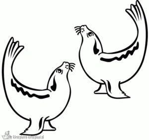 Zeehond 12 kleurplaat om te printen en kleuren