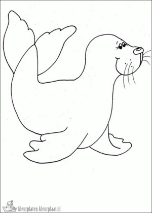 Zeehond 13 kleurplaat om te printen en kleuren