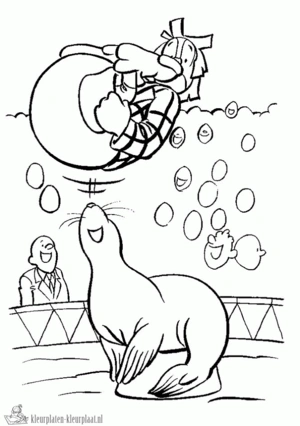 Zeehond 20 kleurplaat om te printen en kleuren