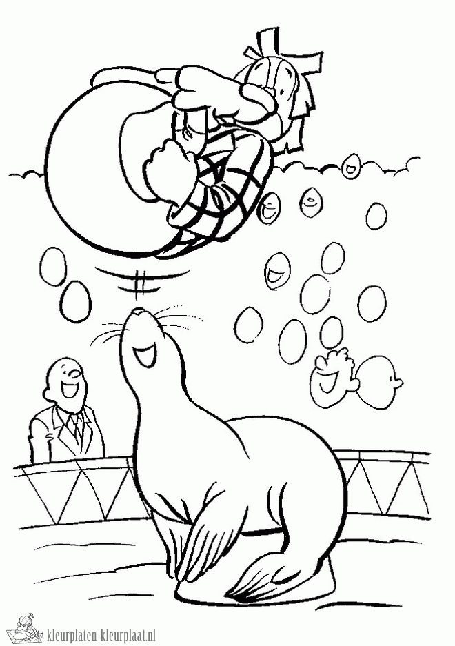 Zeehond 20 kleurplaat