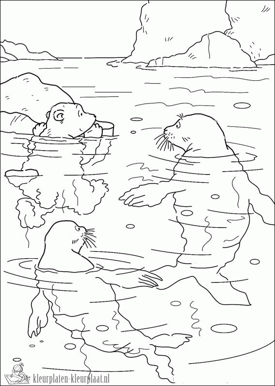 Zeehond 4 kleurplaat