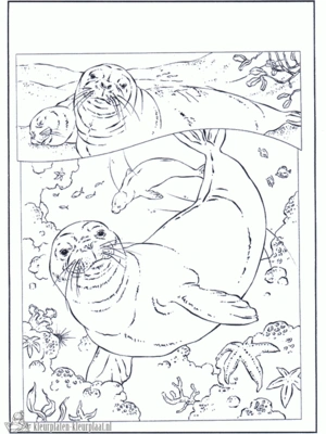 Zeehond 5 kleurplaat om te printen en kleuren