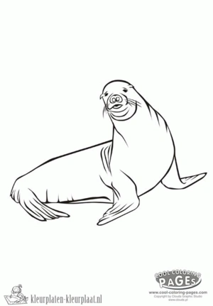 Zeehond 6 kleurplaat om te printen en kleuren